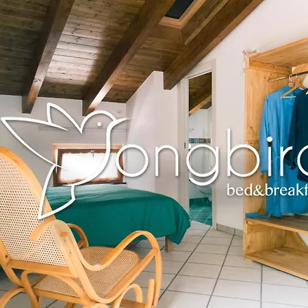 Songbird-3