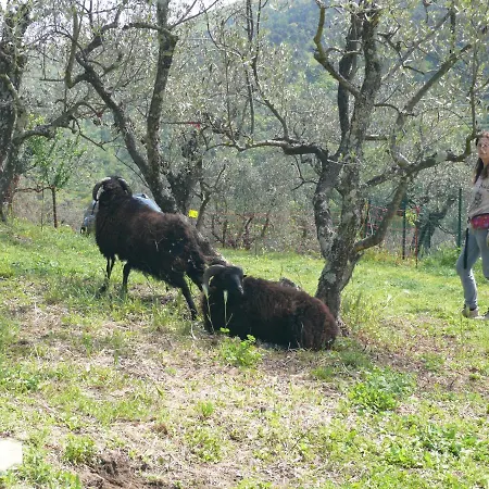 Antica Bottega di Vinci-2