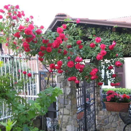 L'Olivo B&B-2