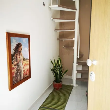 Papa House-2