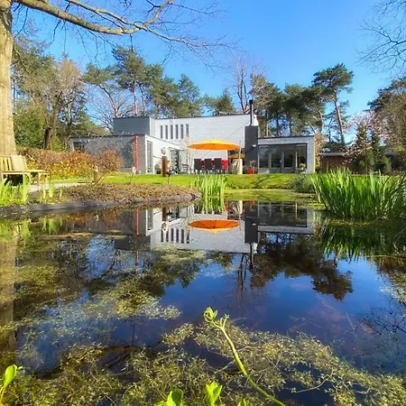 B & B De Stijl-2