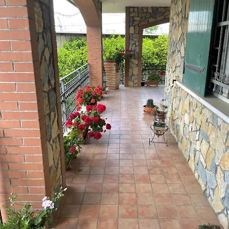 B&B Alba-3