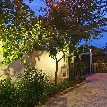 Fiumicino Airport B&B Deluxe-3