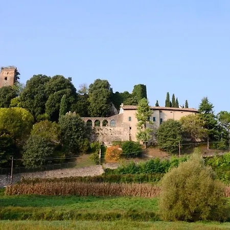 B&B Pivi-2