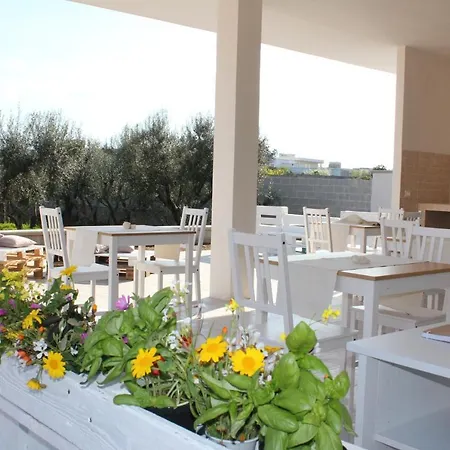 Piccolo Ulivo B&B Salento-3