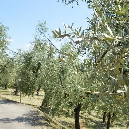 Il Podere di Tacito-3