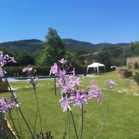 Alba Morus Bed & Breakfast, Sentiti A Casa Nel Cuore Della Toscana-3