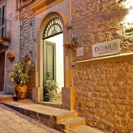 Domus Aurea-2