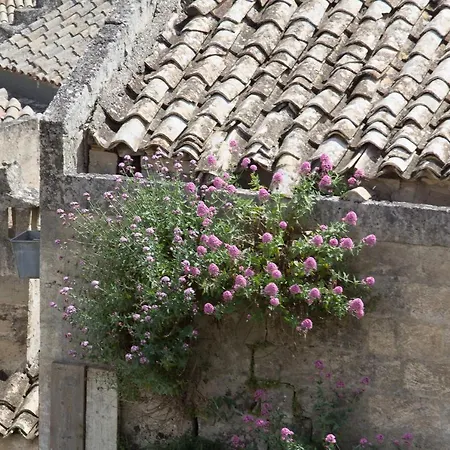 B&B Fiorentini-2
