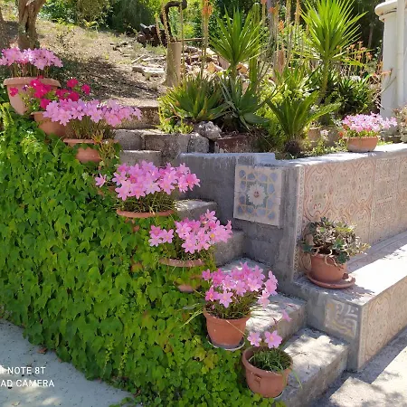 B&B Troisi-3
