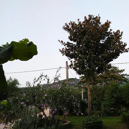 B&B Villa Sabrina-3