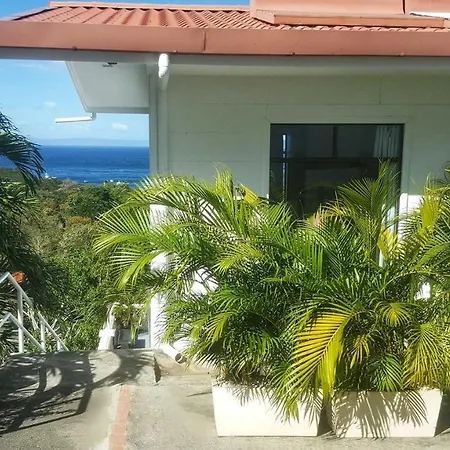 Pura Vista Hotel-2