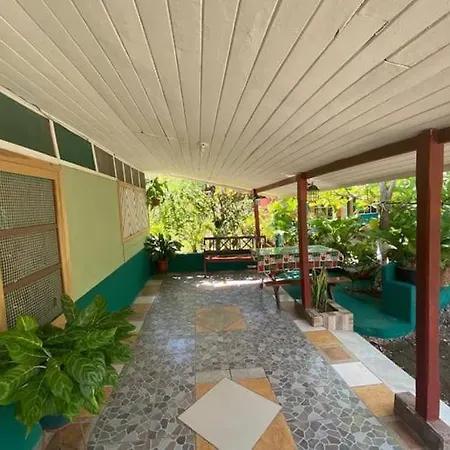 Coco Verde-2