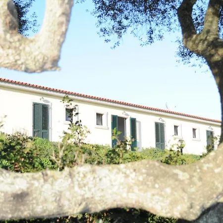 La Striscia Larga-2