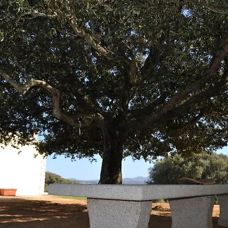 La Striscia Larga-2