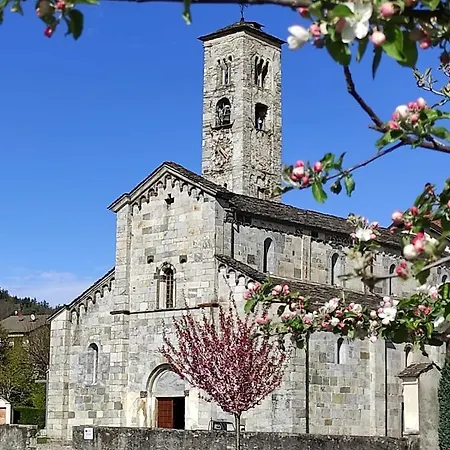 Le Farfalle di Armeno-3