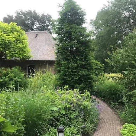B&B. Het Hunebed Rolde-3
