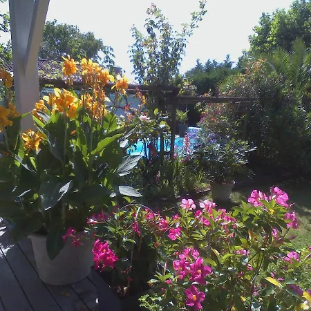 Les Arums de Fondeminjean-3