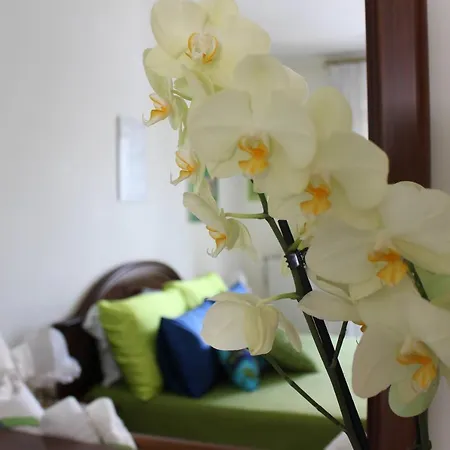 B&B Casa Ippolito Stabiae Coast-3