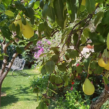 Il Giardino Di Tatiana Rooms&Breakfast-3