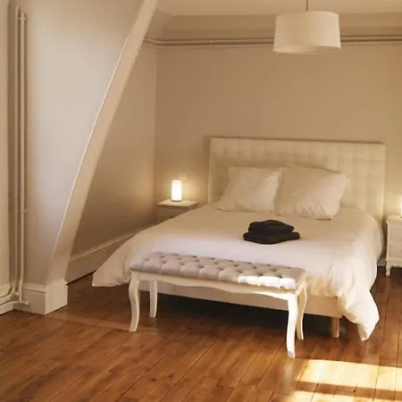Le château de la brosse Chambres d'hôtes-3