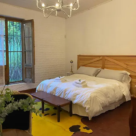 Don Aniceto - Suites de Campo-2