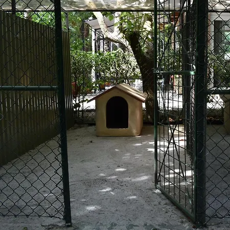 Cospea B&B-3