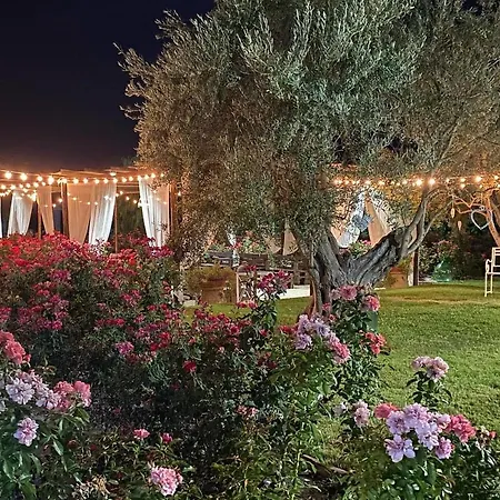 B&B Terre di Paestum-3