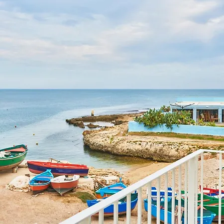 Musae Al Mare-2