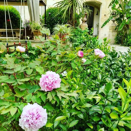B&B L'Orangerie D'Epoque-2