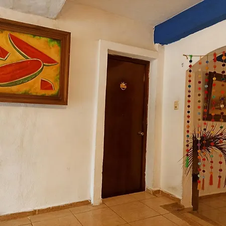 Casa De Los Pájaros - B&B-2