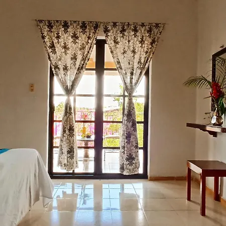 Casa De Los Pájaros - B&B-3