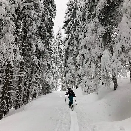 Baita Zeni Tirolerhof (Adults Only)-3
