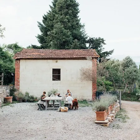 Buonvisi B&B-3