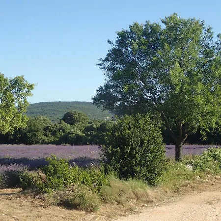 le rocher de Sampzon-3