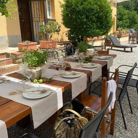 B&B Alloro-2