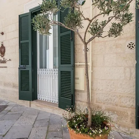 Amate Suite-2