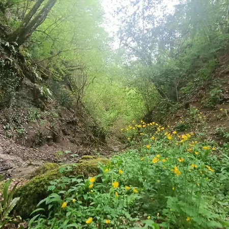 Il Borgo dei Molini-2