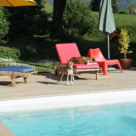 Domaine de Saint Loth'-3