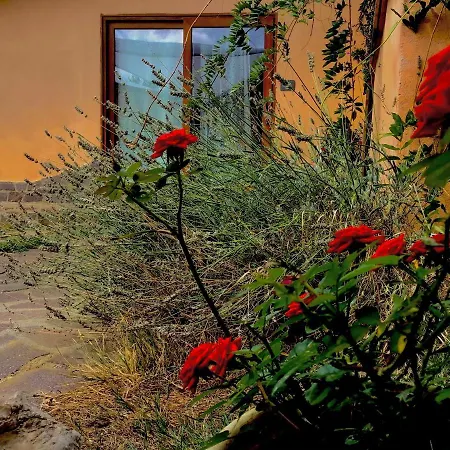 B&B A Casa Di Silvia-2