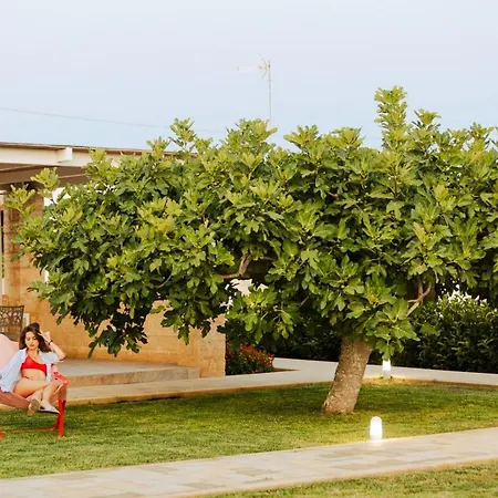 B&B Domus Terra Mare-2