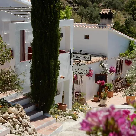 Bed And Breakfast Lagabella-3