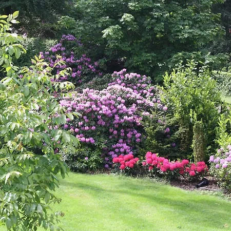 Bed&Breakfast Op 't Leven-3