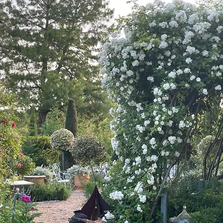 Les Jardins Haute Couture-3