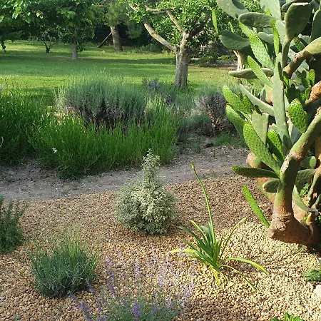 La Gourmandine-3