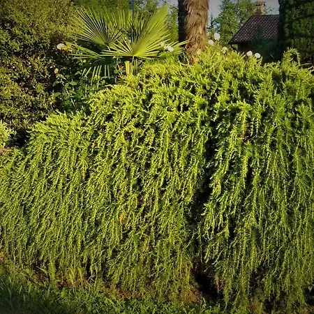Cascina Creusa B&B-2
