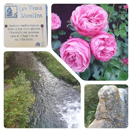 La Gaudiniere-3
