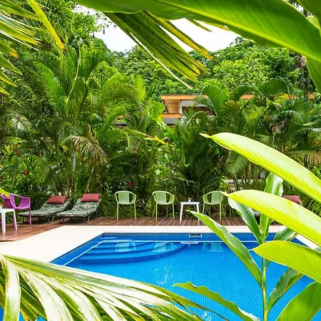 La Paz del Caribe Adults Only-2