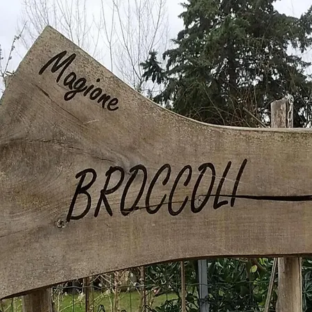 Magione Broccoli-2