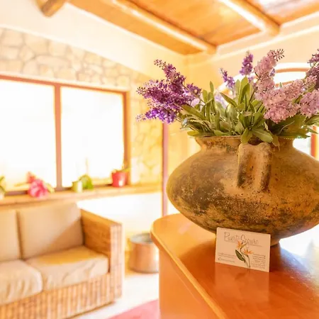 B&B Puerto Seguro-3